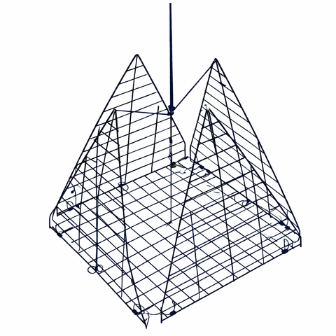 Lee Fisher Sports 16" Star Crab Trap – Pyramid Style Vinyl-Coated Steel Crab Trap, Collapsible & Ready to Use
