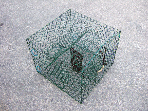 Blue Crab Trap - Galvanized or Vinyl Coated Wire Trap – Lee Fisher Fishing  Supply