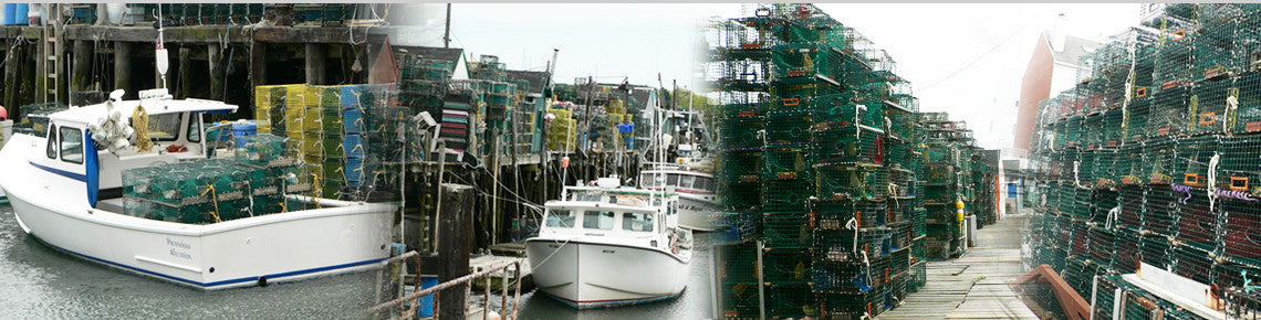 Crab Traps