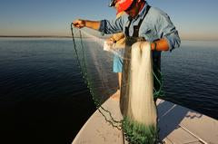 Humpback Cast Net - Minnow Net 1/4" Sq. Mesh