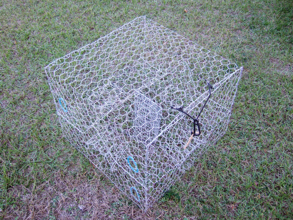Blue Crab Trap - Galvanized Wire Trap White