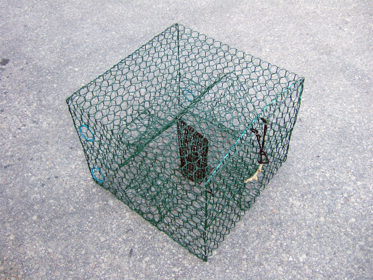 Blue Crab Trap 24
