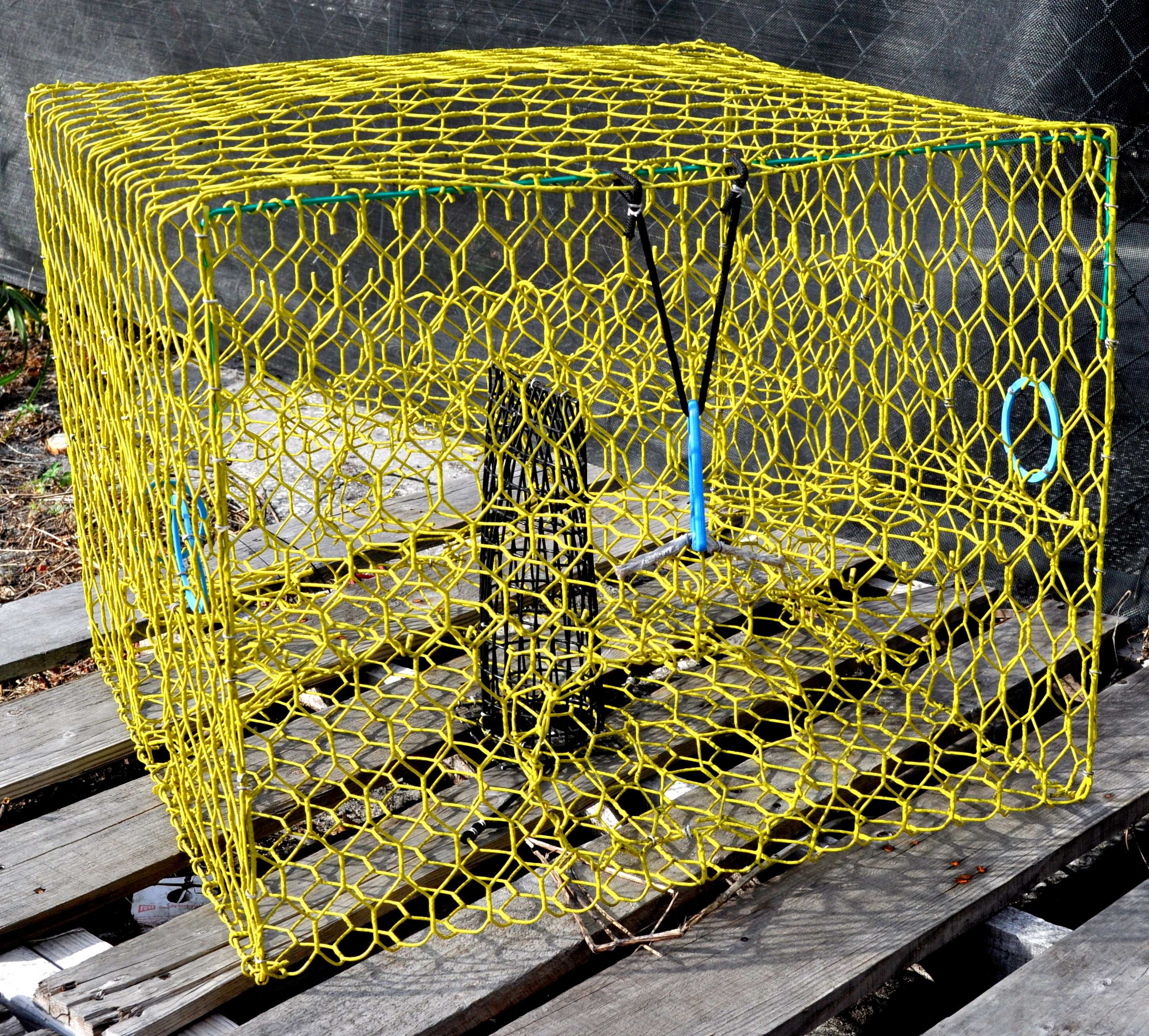 E-Z Catch Lime Green Fold-A-Way Premium Quality USA Made Two Door Blue Crab  Trap