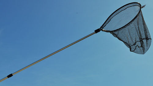 big w fishing landing net TT-LNJF-12 Landing Net