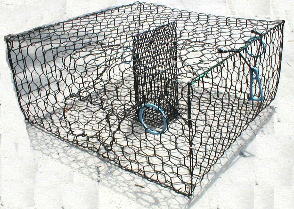 Blue Crab Trap - Galvanized or Vinyl Coated Wire Trap – Lee Fisher