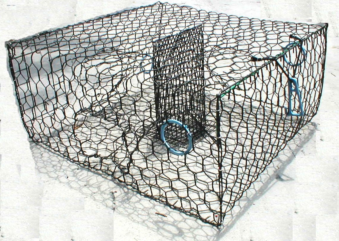 Blue Crab Trap Galvanized or Vinyl Coated Wire Trap Lee Fisher