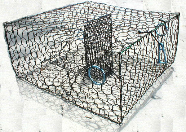 Blue Crab Trap - Vinyl Coated Wire Trap Black 3