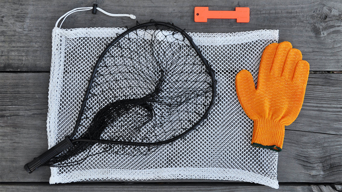 catch lobster on a fishing pole Basic Lobster Kit