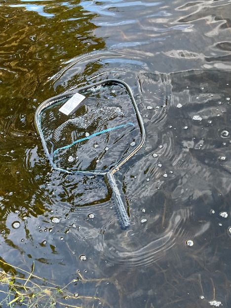 Lee Fisher - Floating Landing Net - 18x22in 36in Handle