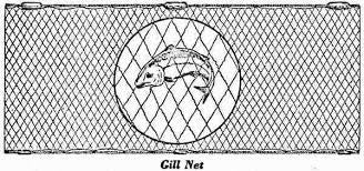 Nylon Gillnet Netting No.104 (210/4)x2-1/2x200yards – Lee Fisher Fishing  Supply
